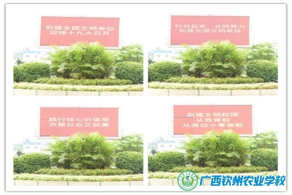 全校动员，实现目标——我校迎接“全国文明单位”复评进入冲刺阶段