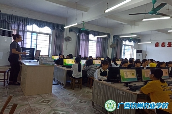 授之以鱼不如授之以渔