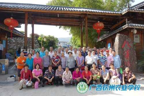 我校组织开展重阳节敬老系列活动