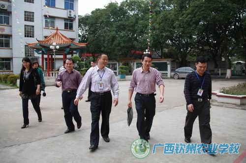 自治区农业厅计财处领导莅临我校指导工作