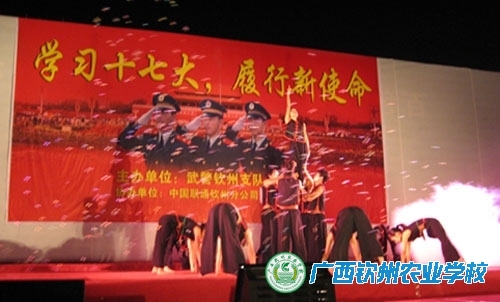 团委组织艺术团参加“学习党的十七大精神  履行新使命”警民联欢晚会