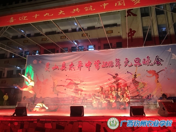 “社团活动展风采 下乡进校暖人心” ——记我校学生社团下乡演出活动