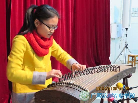 我校举办校园音乐会