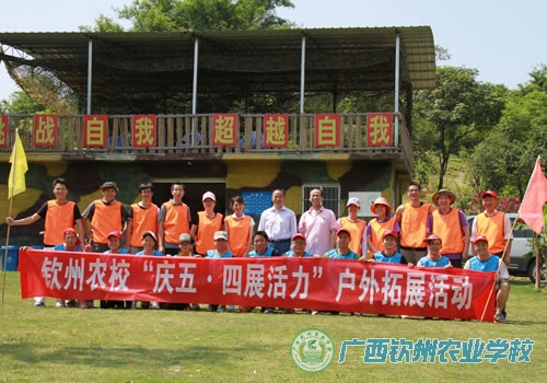 我校团委组织青年教职工开展拓展活动