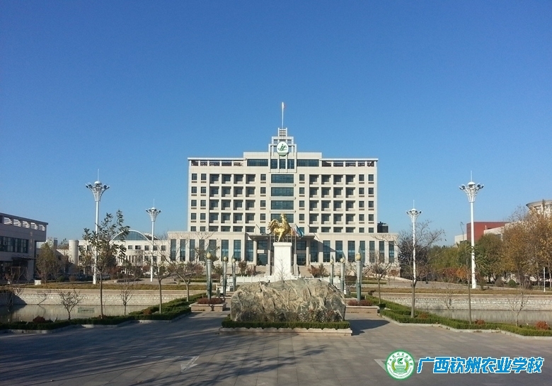 我校“九联班”学生圆满完成顶岗实习任务并从青岛顺利返回