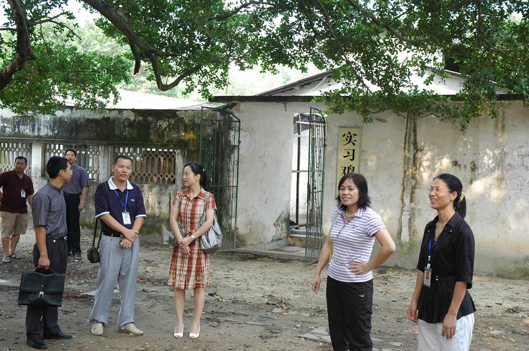 区农业厅领导到我校进行教师节慰问