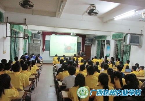 团委组织开展青年志愿者新成员培训