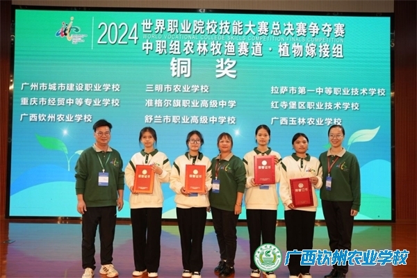 巧手嫁接，技艺巅峰——我校学子斩获2024年世界职业院校技能大赛总决赛争夺赛中职组农林牧渔赛道·植物嫁接组赛项铜奖