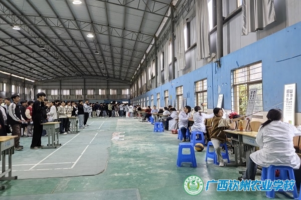 珍爱视力 光明人生—— 我校组织开展2024年秋季学期学生视力筛查活动