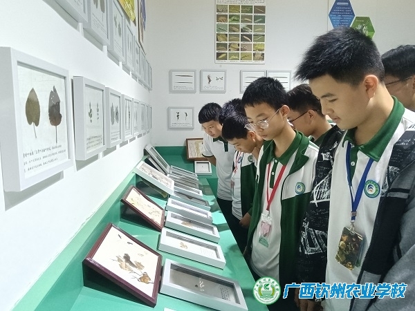 钦州市第三中学生物兴趣班到我校参观学习