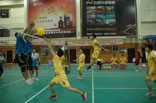 我校代表队在厅属院校第十二届学生运动会比赛首日赢得开门红