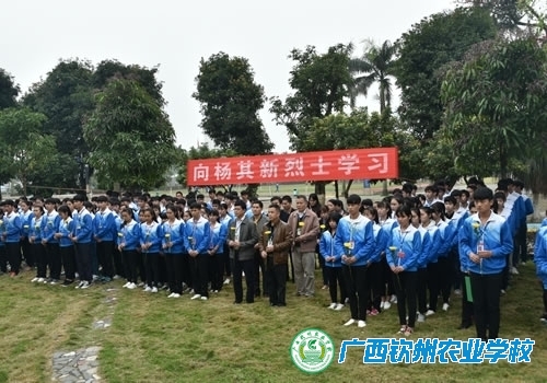 “我们的节日•清明”——缅怀校友杨其新烈士