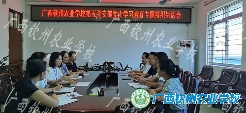 照镜子 匡其行 正其身 ——第五党支部召开党史学习教育专题组织生活会