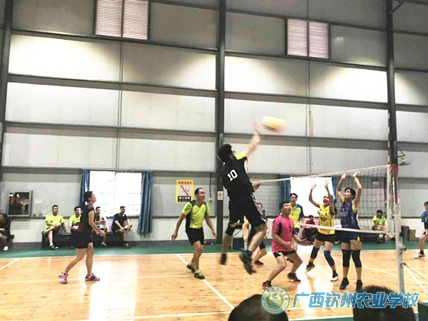 我校气排球代表队在钦州市“壮族三月三•民族体育炫”男女混合绣排球比赛中取得喜人成绩