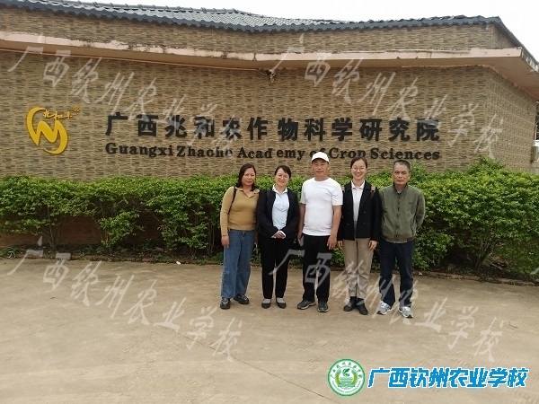 广西中等职业学校第二批名师工作坊、 自治区2022年重点建设特级教师和名师工作坊 彭秀构树名师工作坊组织工作坊小组长进行企业调研学习