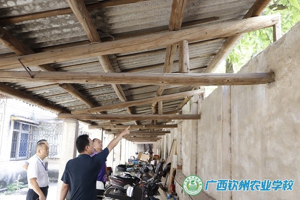 我校开展期末校园安全检查工作