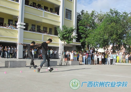 用轮滑释放激情，用舞蹈演绎青春——轮滑社鬼舞社开展社团展示活动