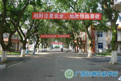 科学发展   安全发展—我校上半年开展校园安全建设工作纪实