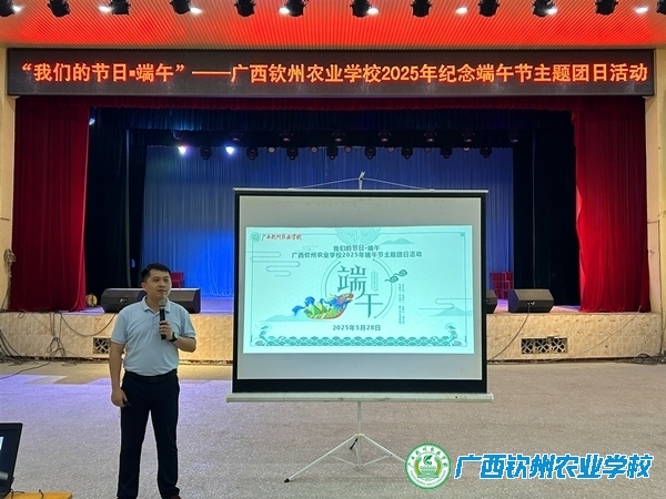 “我们的节日▪端午”——团委组织开展纪念端午节主题团日活动