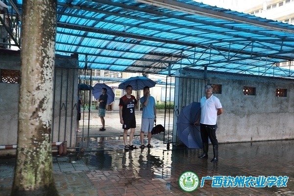 台风“韦帕”不怕  安全检查保平安 ——我校开展台风后校园安全大检查