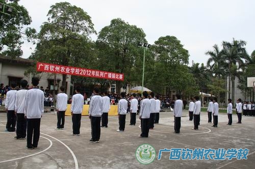 我校举行2012年“青春风采”队列广播操比赛