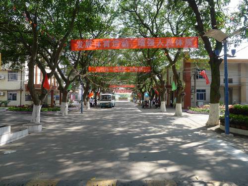 彩旗飘飘  喜迎健儿