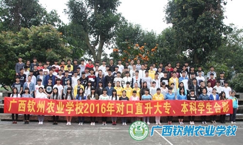 我校完成2016年对口升学报名工作
