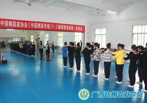 中国舞蹈家协会《中国舞蹈考级》1-3级师资培训班在我校首次开班