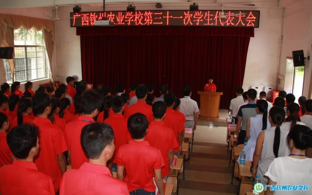 我校召开第三十一次学生代表大会