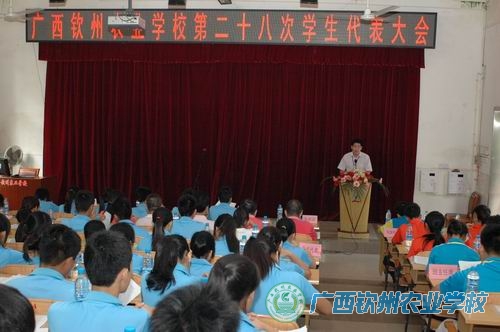 我校召开第二十八次学生代表大会