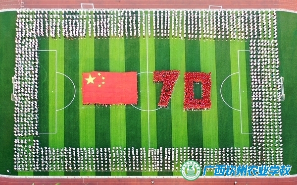 用经典诵读献礼新中国成立70周年