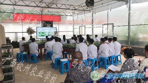 我校彭秀名师工作坊圆满完成 2021年广西第一期中等职业学校“双师型”教师示范教学巡讲活动组织开展