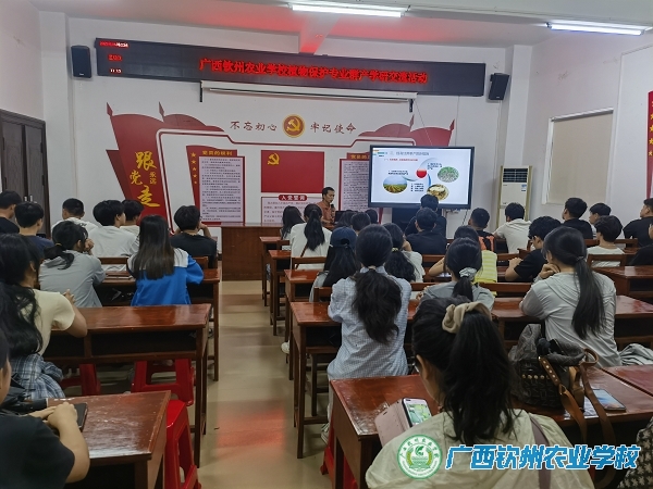 以实践赋能成长，用探索深化认知——我校赴北海教学实习圆满完成