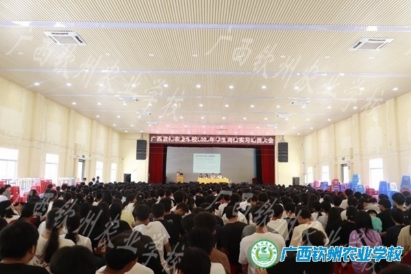 我校召开2023年学生岗位实习动员大会