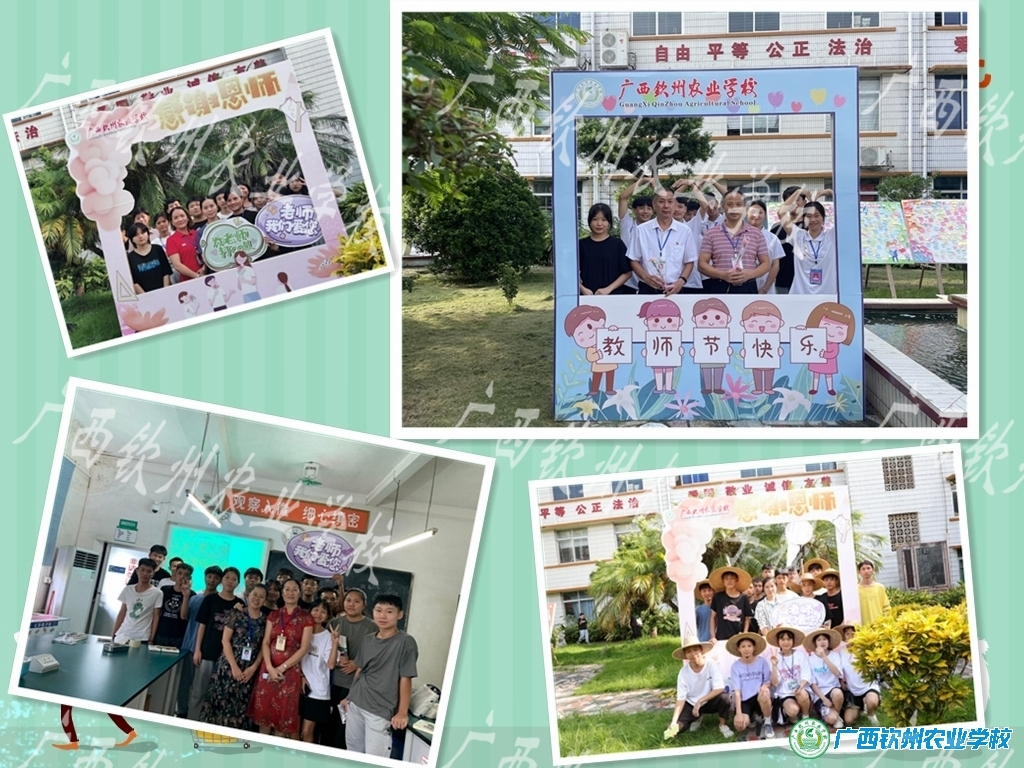 谢师恩 ――校团委组织开展教师节系列感恩活动