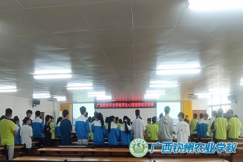 拥抱阳光，绽放自我——我校组织开展青少年心理健康专题讲座