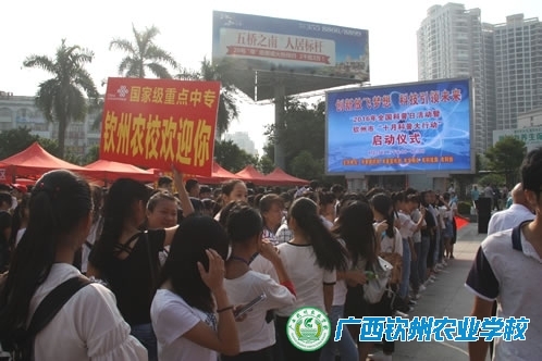 我校荣获2016年广西“十月科普大行动”先进单位荣誉称号