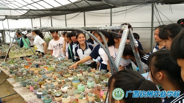 2018年全国科技活动周钦州市校园科普活动系列报道三——校园科普展华彩   实训基地谱新章