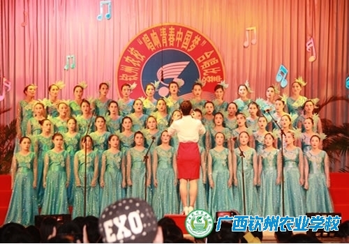 凝聚青年正能量 唱响青春中国梦