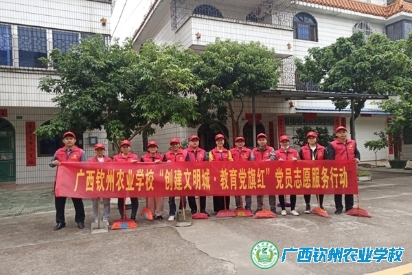 我校第二党支部开展 “创建文明城市，教育党旗红”党员志愿活动