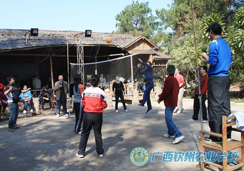 团委组织青年教职工开展集体活动