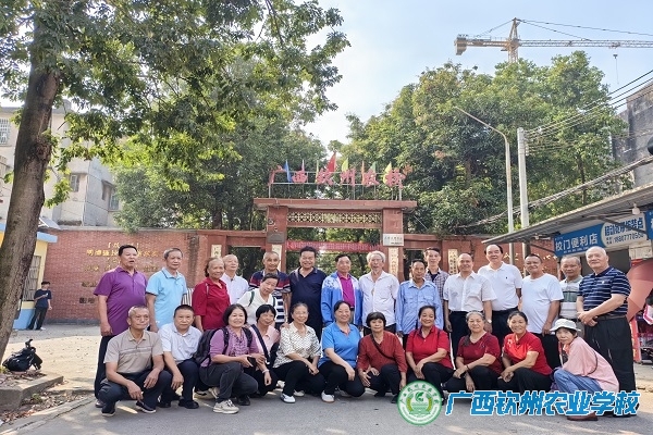 旧友重逢，共忆青葱岁月