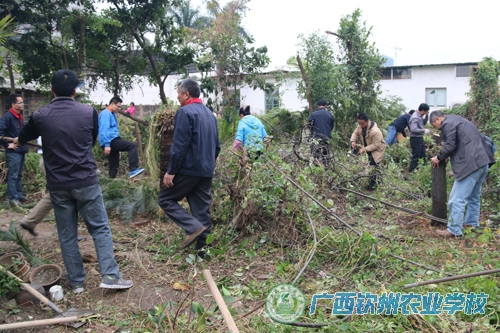 环境卫生大整治 清洁校园迎新年