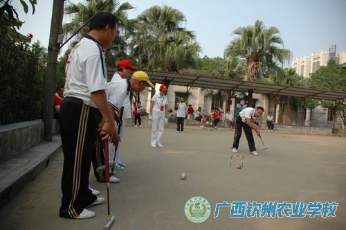 我校承办钦州城区“钦农杯”门球赛圆满落幕