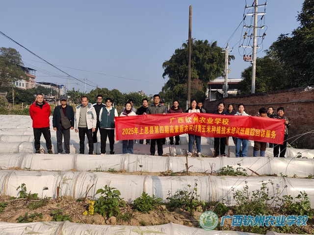 2025年上思县第四期高素质农民培育玉米种植技术培训班跟踪回访服务