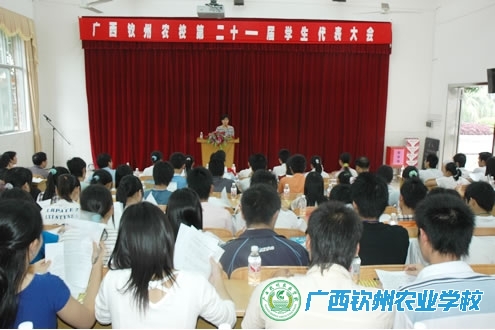 学生会换届选举工作顺利完成