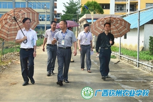 专家教授献计我校校园文化建设