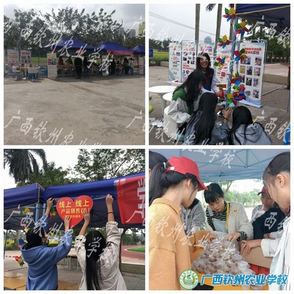 学生就业创业课题线上线下实践体验阶段性成果展示活动花絮