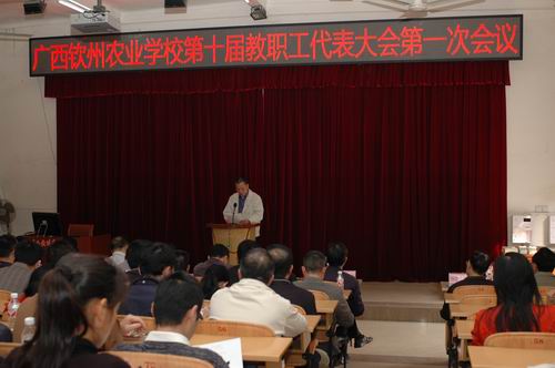 我校召开第十届教职工代表大会第一次会议