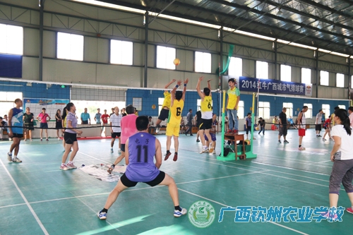 我校2014年秋季学期教职工气排球比赛圆满落幕